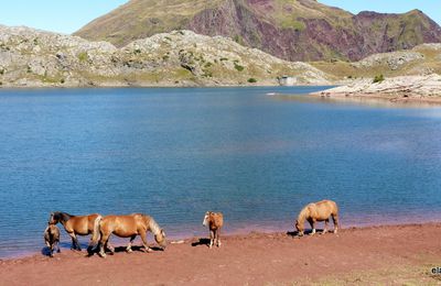 lac d'estaëns. (htes-pyrénées)