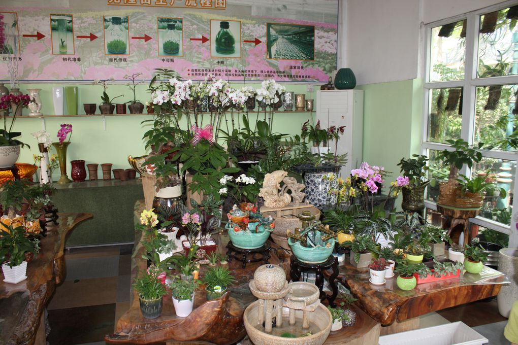 Le flower market de Shenzhen