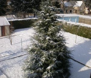 Blanc manteau ou manteau blanc...