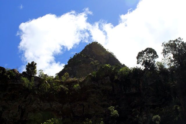 Album - Grand-Bassin &amp; cascade-du-voile-de-la-mariee