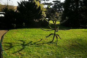 Petit arbre deviendra grand