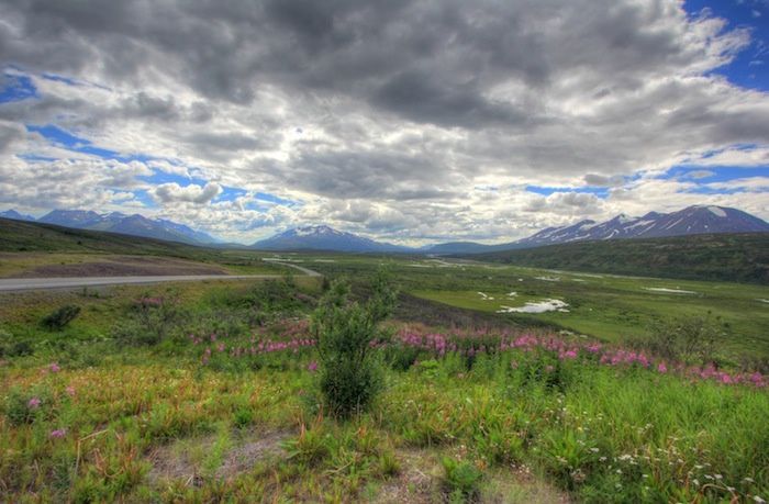 Alaska Yukon été 2013 4/8