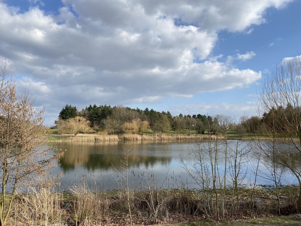 Le Lac d'Evry-Courcouronnes en Essonne