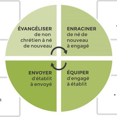 Formation du coeur des disciples-missionnaires de Jésus Homélie 8° dim TO C (3.03.2019)