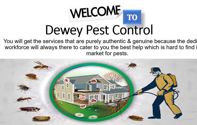 Take Back Control of Your Home with Dewey Pest Control Services