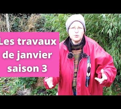 Les travaux de janvier au jardin urbain en permaculture