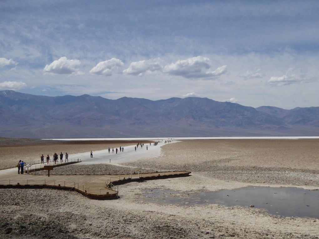 Ouest-Américain, Death Valley - Printemps 2016.