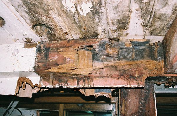 Photos des travaux sur La Granvillaise, depuis le démâtage jusqu'à (espérons!) la remise à l'eau...
(Photos G. Boucand, J. Couenne, M. Hayot, S. Launey, J. Le Goff)