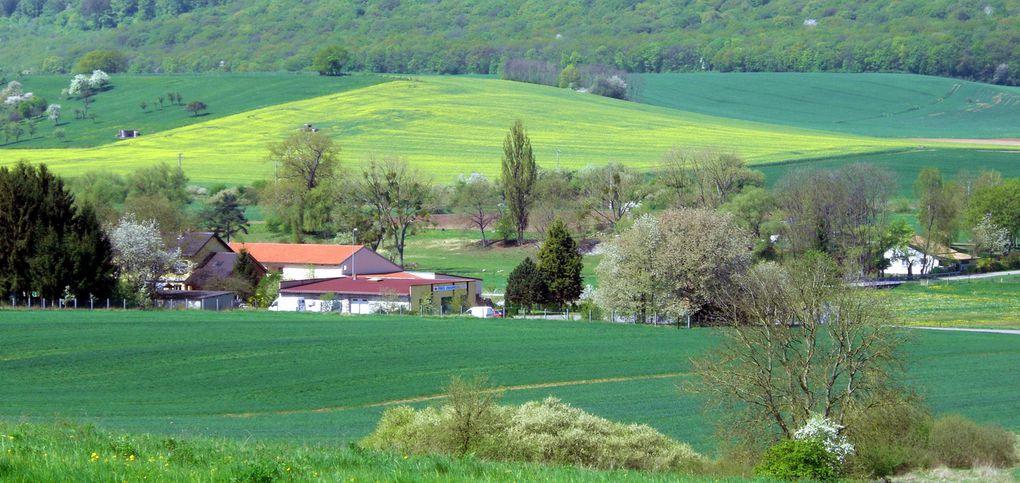 Hestroff au mois d'avril. Quelques images pour tous les camarades expatriés. 