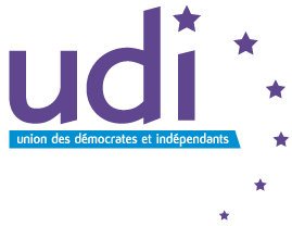 Qu'est ce que l'UDI ?