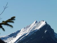 Le chemin démarre à droite derrière la cabane pour rejoindre beaucoup plus haut la piste forestière que l'on ne fait que traverser. La vue porte alors jusqu'à la Dent d'Arclusaz.