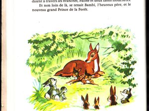 Bambi Raconté par Claude Nicot et Anna Gaylor