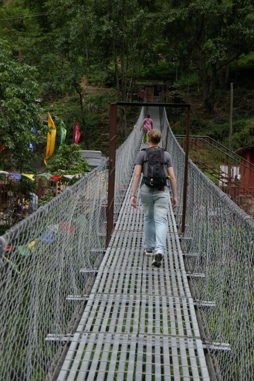 Saut à l'élastique