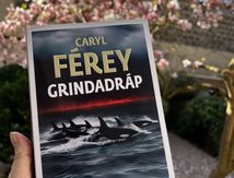 Grindadráp