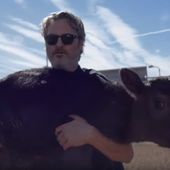 Joaquin Phoenix sauve une vache et son veau de l’abattoir