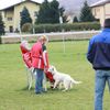 Kadia & Kintana bei unserer WSÖ Jugendveranlagung