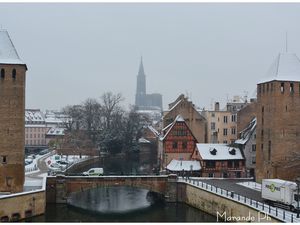 Les tours et la cathédrale de Strasbourg