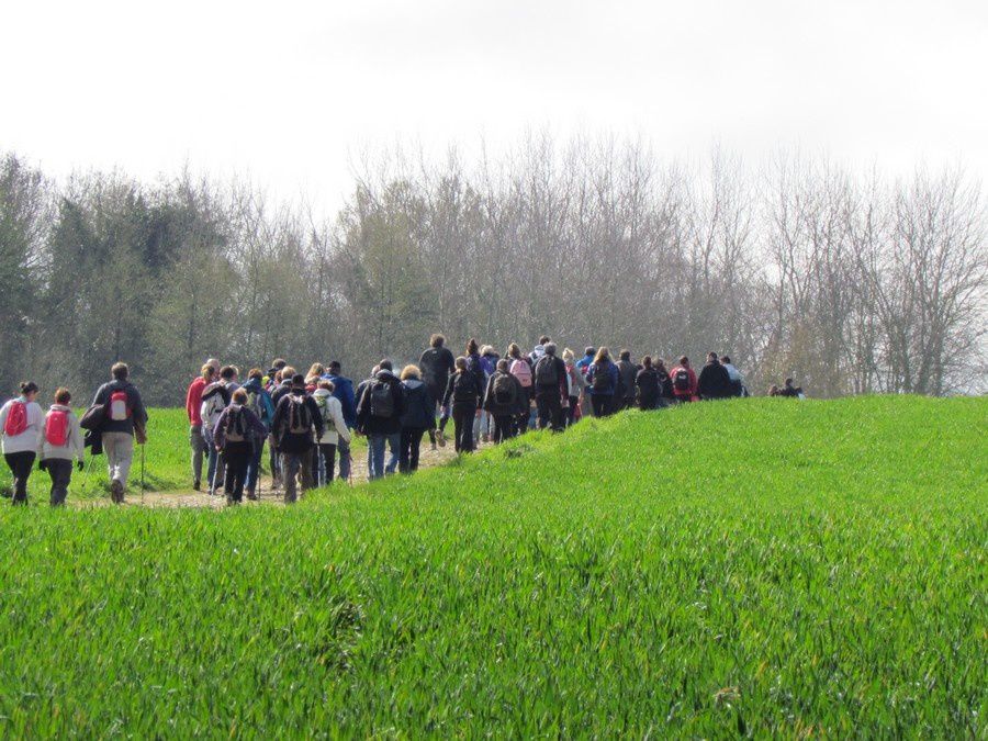 Le 10-04-16- Les 3 châteaux