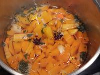 Soupe de potiron, carottes, clémentines à l'étoile de badiane et coriandre