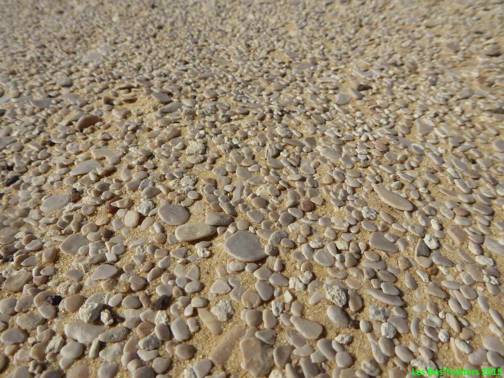 Wadi Rayyan et paysages du Fayoum