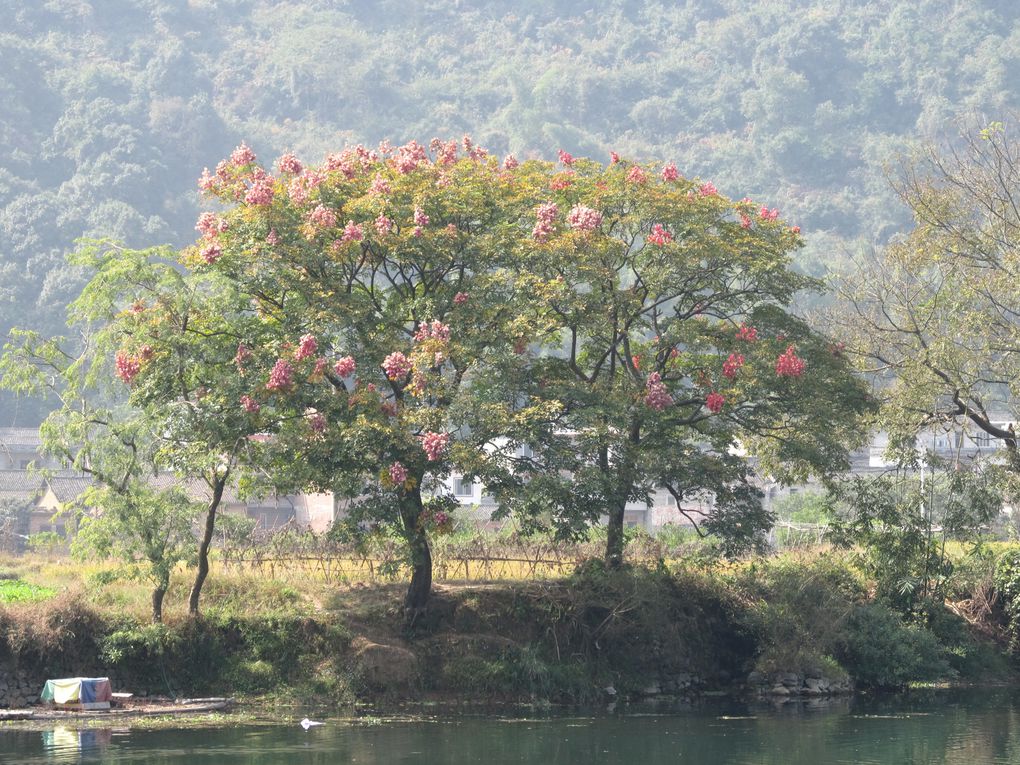 Album - Yangshuo