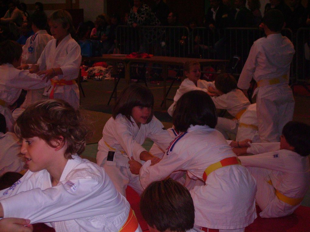 Stage d'arbitre et compétition "4 Saisons " & " Petits Tigres ". Et participation de Frédéric Demontfaucon, champion du monde en 2001 et médaille de bronze aux Jeux Olympiques de Sidney 2000.