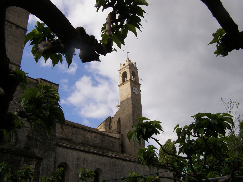 FORCALQUIER - Cathédrale NOTRE DAME du BOURGUET - bj(C) photos