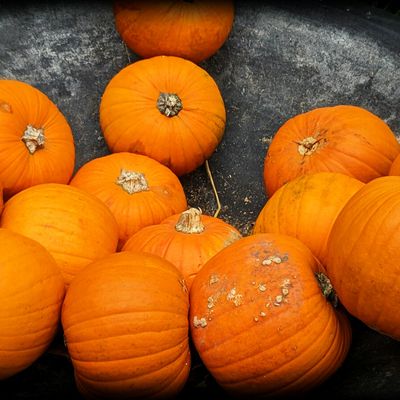 L'Orange de circonstance..