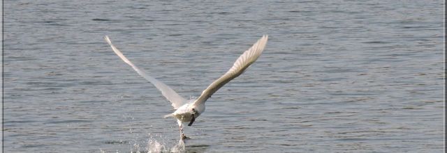 Belles images des Lacs