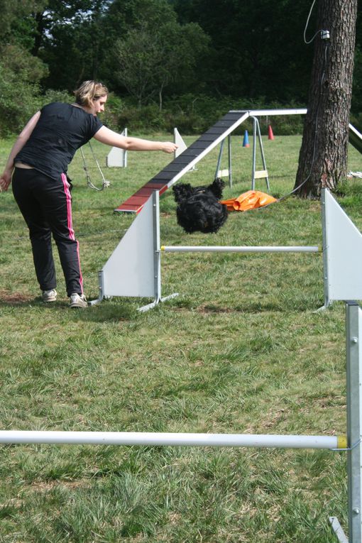 Album - 2012-06-30-Entrainement-Agility et entretien club