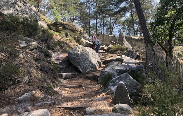 Boucle en forêt de Fontainebleau, 21,4 km.