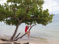 Départ depuis Papeete via l'Arimiti 5 (30' pour arriver sur Moorea). Hotel Sofitel. Découverte des "bernard l'hermite" ("banamamites" pour Naïs). Confection de colliers et couronnes à partir des palmes de cocotiers.