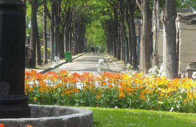 Cimetière Montmartre : une promenade pleine de vie