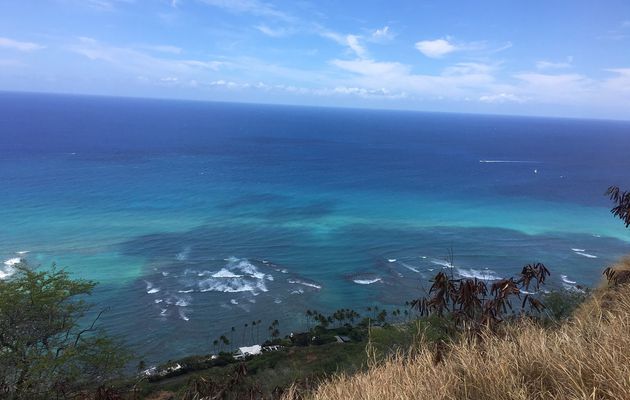 DIAMOND HEAD