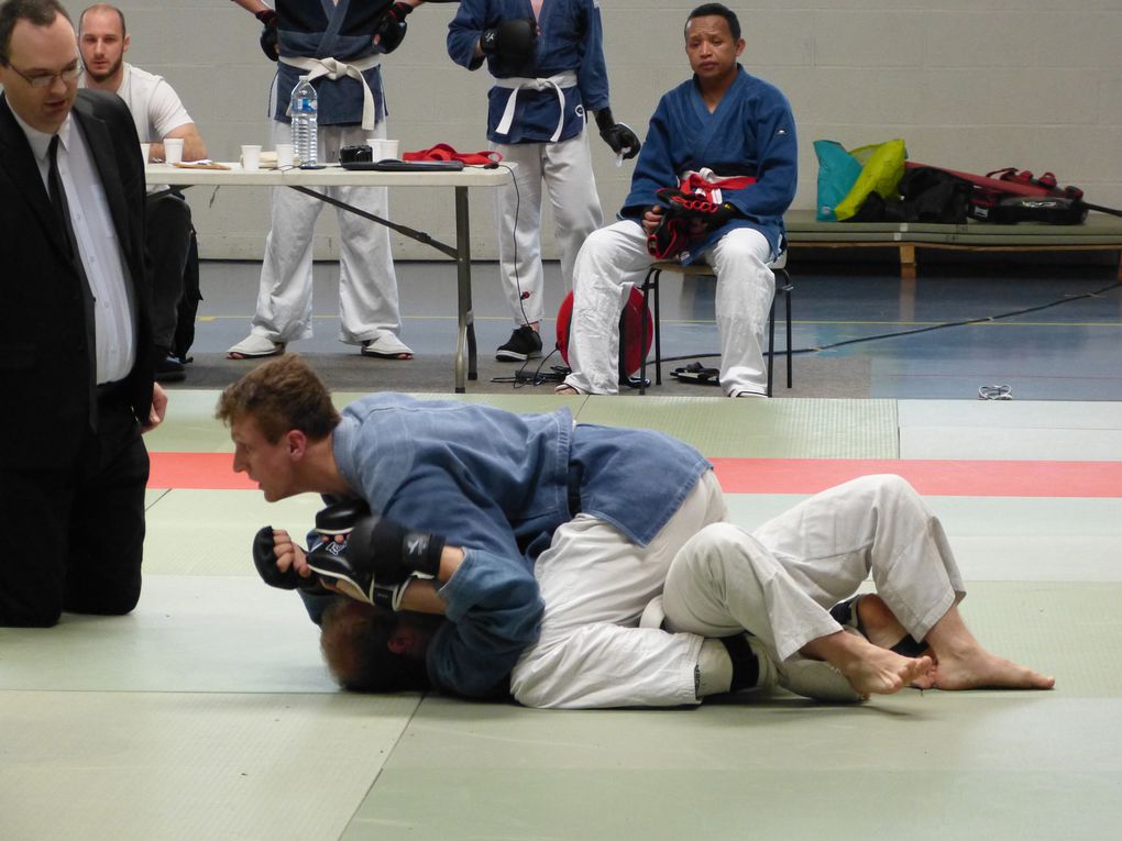 2e partie des photos de la compétition de Nihon Budo du 10 mai 2015 au gymnase des droits de l'Homme à Guyancourt.