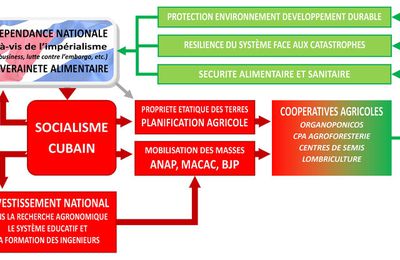 Socialisme cubain et agroécologie : Le renforcement mutuel par Guillaume SUING