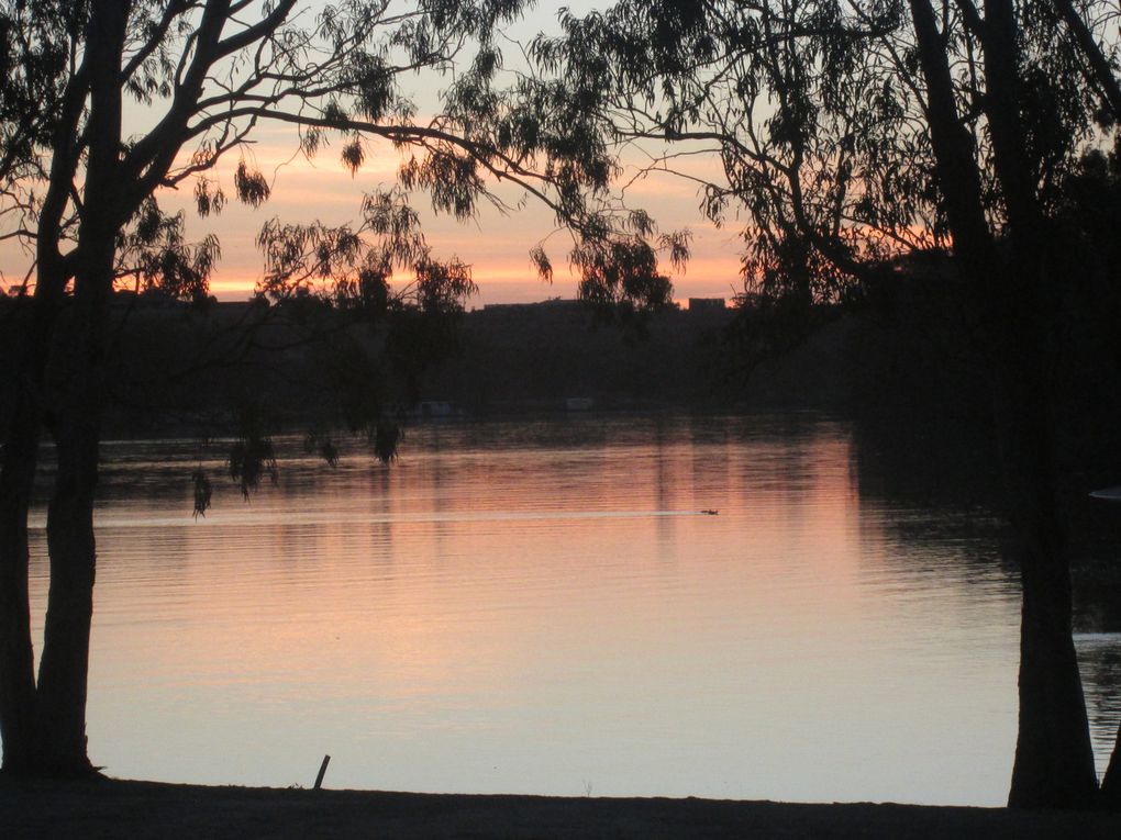 Murray River, South Australia