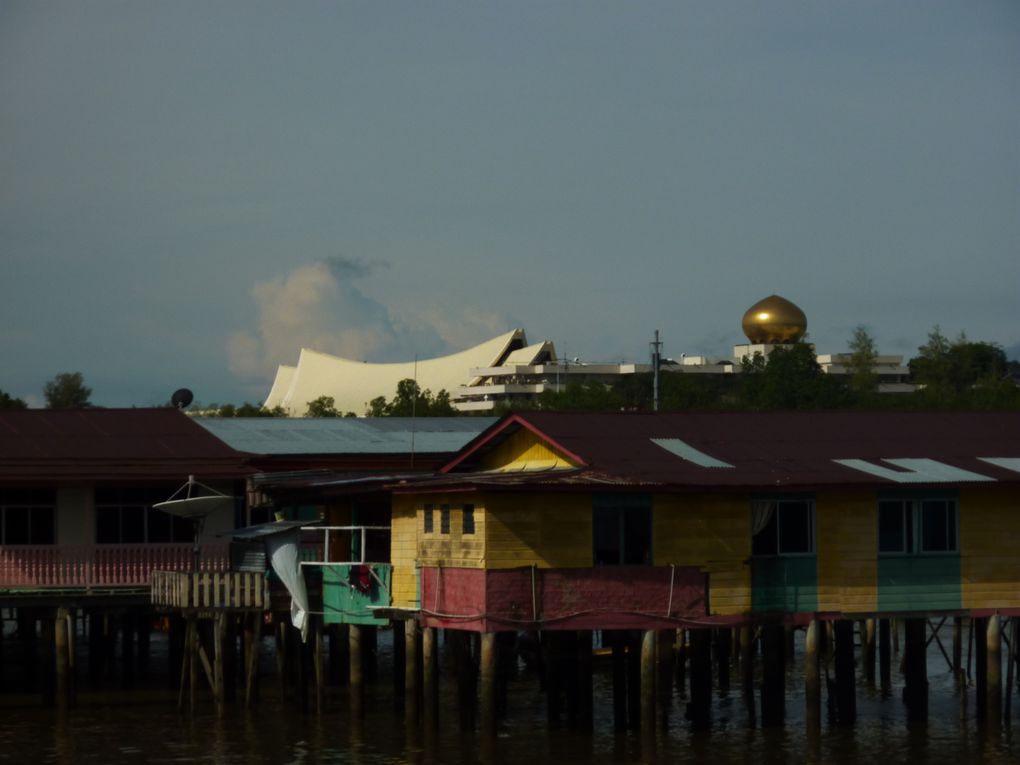 Ulu Temburong national park, et Bandar Seri Begawan, capitale du Brunei