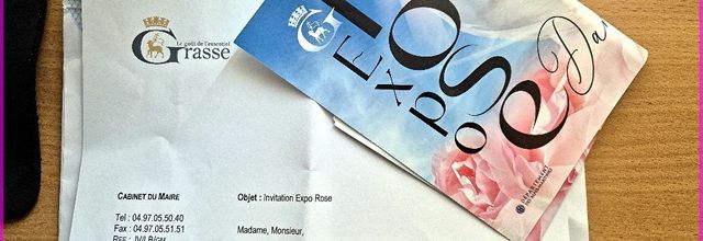 EXPO ROSE 2024 JE SUIS « NEZ » DANS LES FLEURS ! (1)