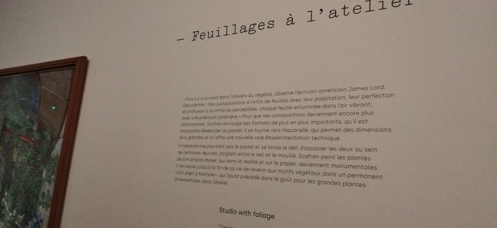 Photos prises lors de l'avant-dernier jour de l'expo à l'Orangerie, étais la dernière à franchir le seuil peu avant 18 h, suivie par les gardiens  