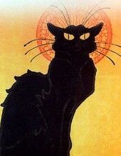 EXPRESSION FELINE