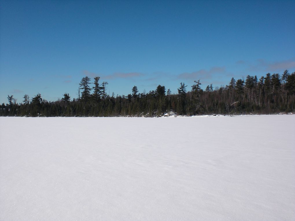 du 2 février au 5 février 2012