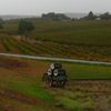 Première échappée dans les vignes d’Adélaïde.