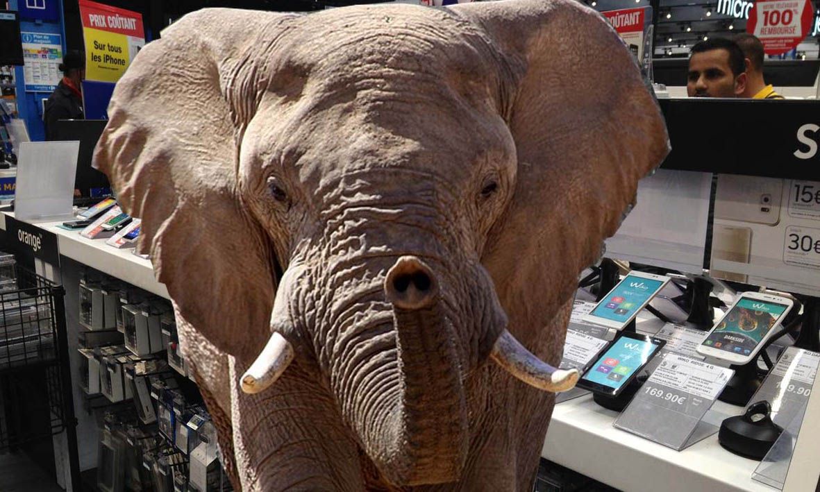 Un éléphant Dans Un Magasin De Porcelaine SMARTPHONES, un éléphant serait-il entré soudain dans un vaste magasin