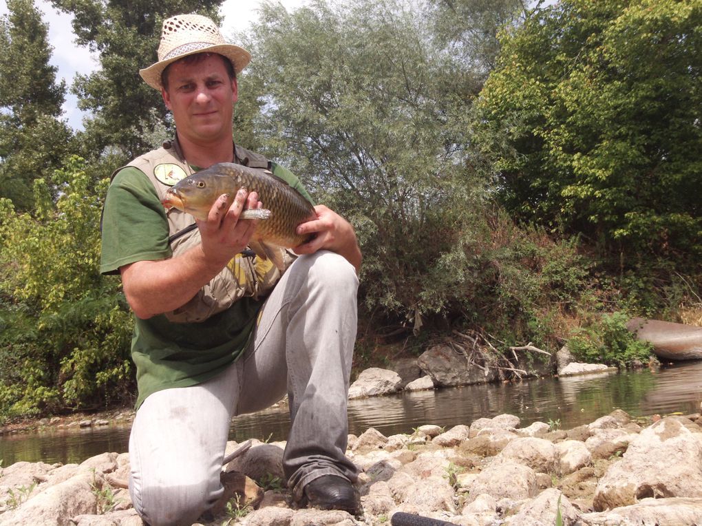 Une série de photos de carpes prise a la mouche