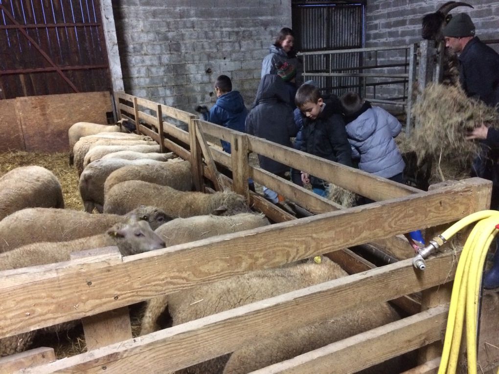 Ferme de la Mantellerie 2018