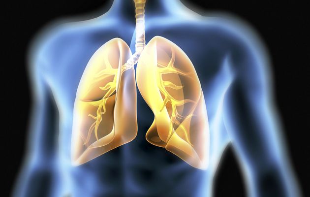 GCC Idiopathic Pulmonary Fibrosis Treatment Market 2022: Industry Trends, Size and Forecast 2027