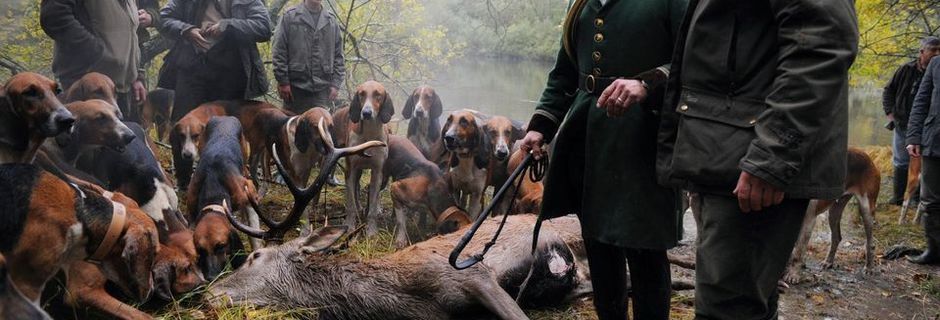 Haro contre la chasse à courre... 