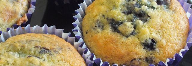 Muffins à la myrtille
