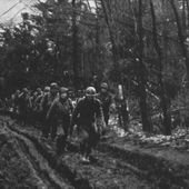 75ème anniversaire de la libération de la Lorraine : les cérémonies ont débuté - Le journal de 13h | TF1